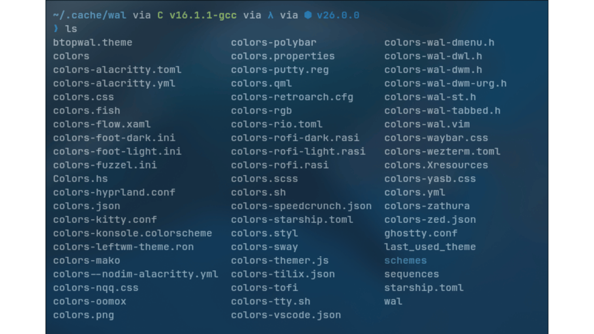 terminal screenshot